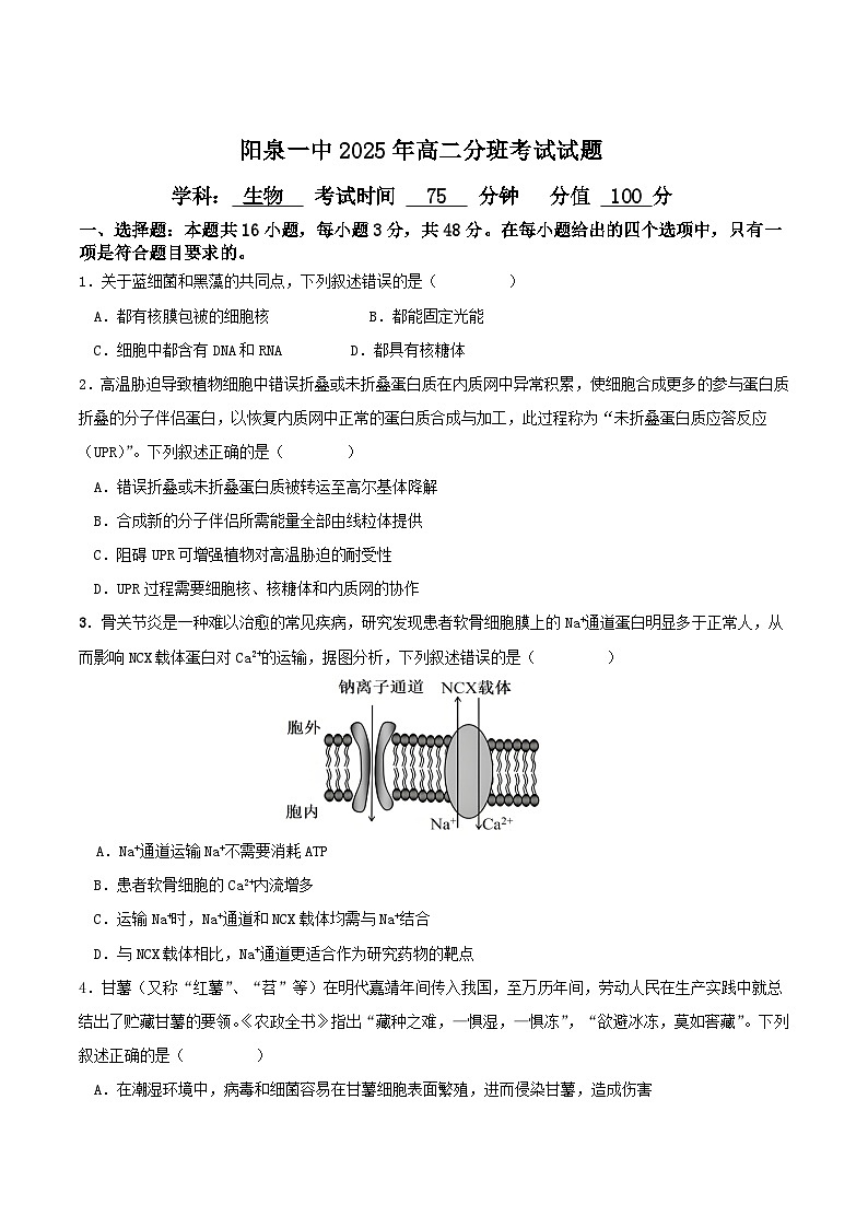 山西省阳泉市第一中学2025-2026学年高二上学期分班暨开学考试生物试卷（Word版附答案）第1页