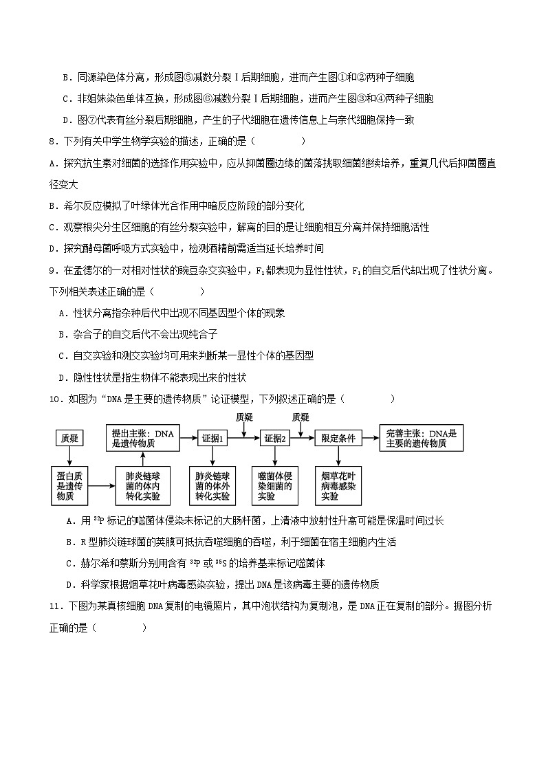 山西省阳泉市第一中学2025-2026学年高二上学期分班暨开学考试生物试卷（Word版附答案）第3页