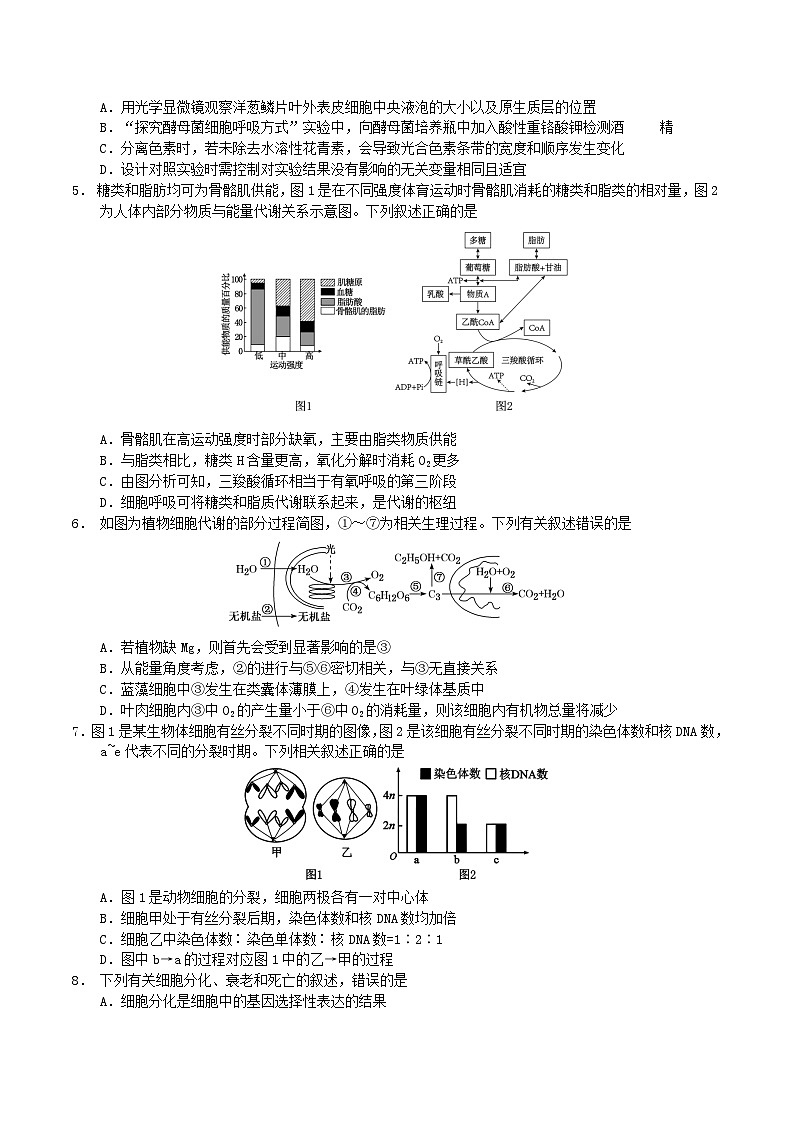 云南省玉溪第一中学2025-2026学年高二上学期开学考试生物试卷（Word版附答案）第2页