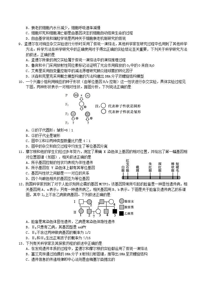 云南省玉溪第一中学2025-2026学年高二上学期开学考试生物试卷（Word版附答案）第3页