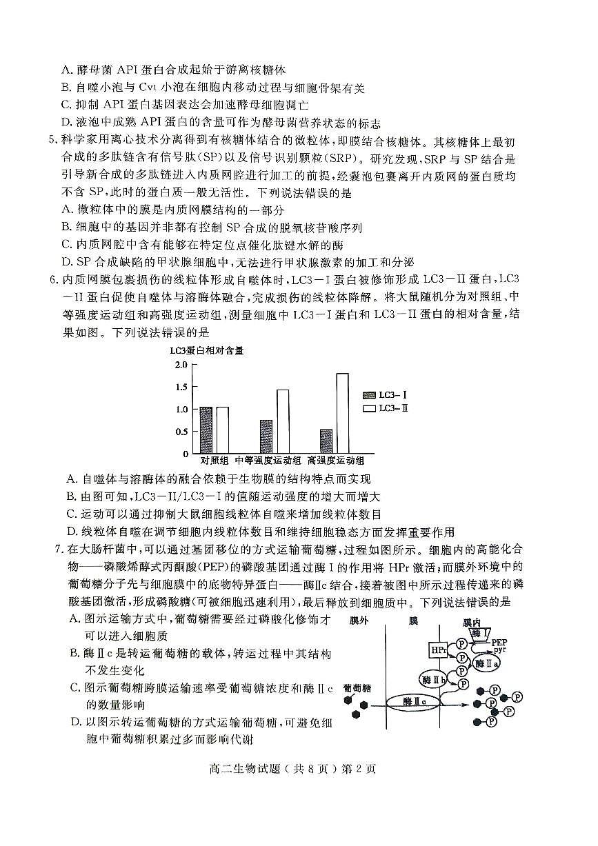 山东省聊城市2023-2024学年高二下学期期末教学质量抽测考试生物+答案第2页