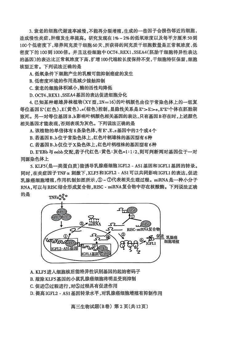 山东省泰安市2024-2025学年高三上学期1月期末试题生物试卷第2页