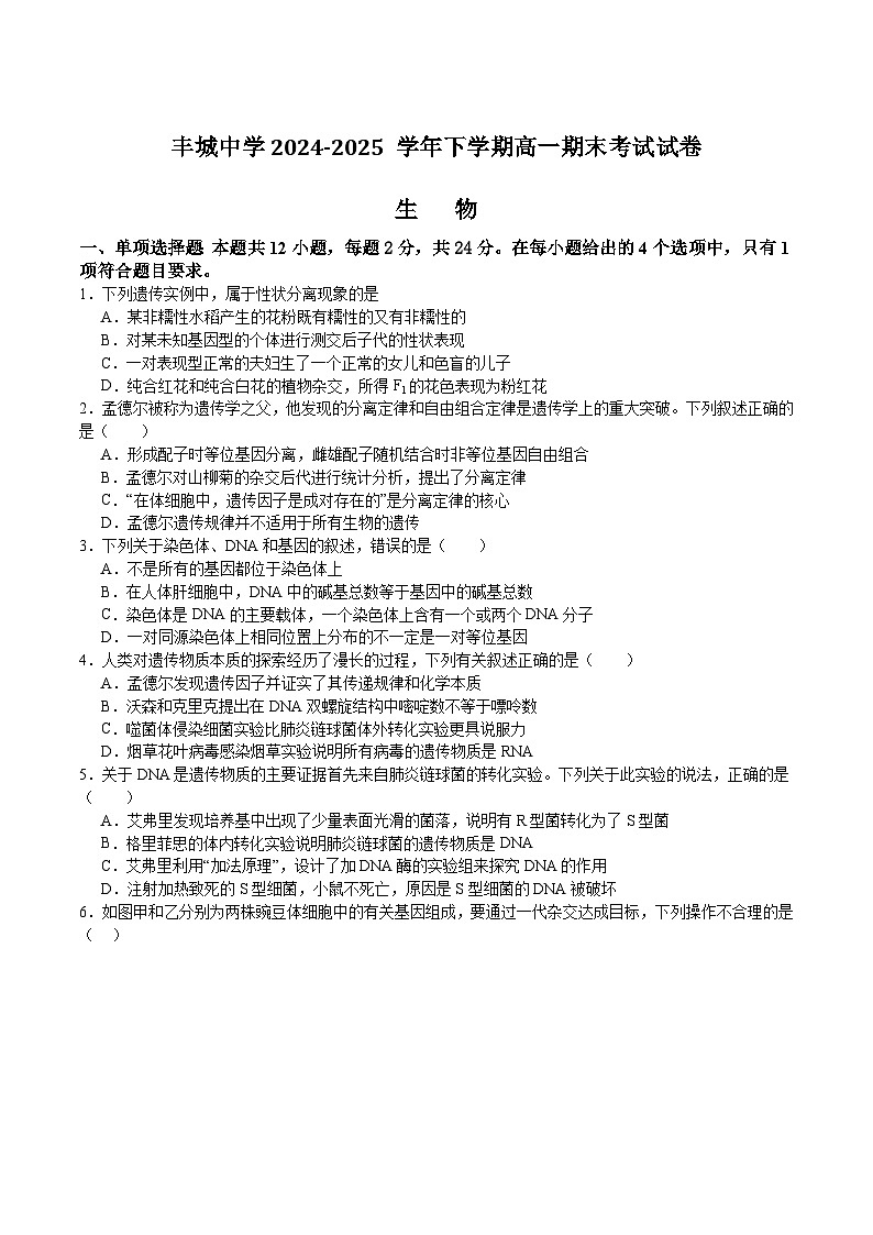 江西省丰城中学2024-2025学年高一下学期期末考试 生物试卷第1页
