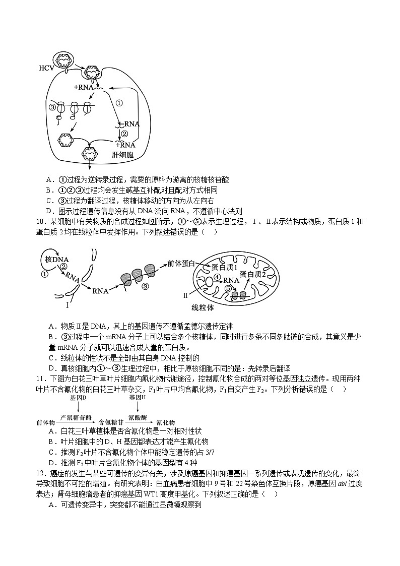 江西省丰城中学2024-2025学年高一下学期期末考试 生物试卷第3页