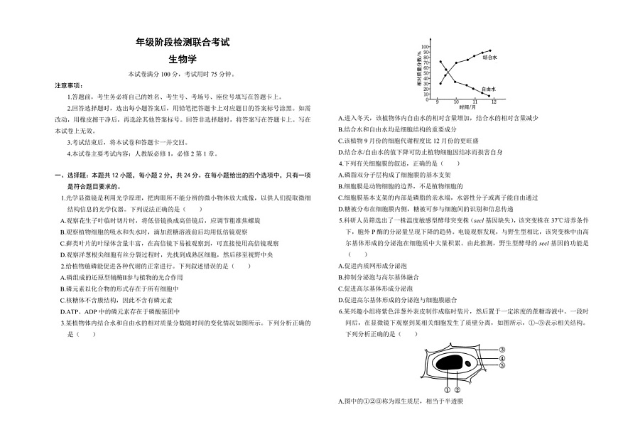 2025届湖南省金太阳高三下学期10月阶段检测-生物试题（含答案）第1页