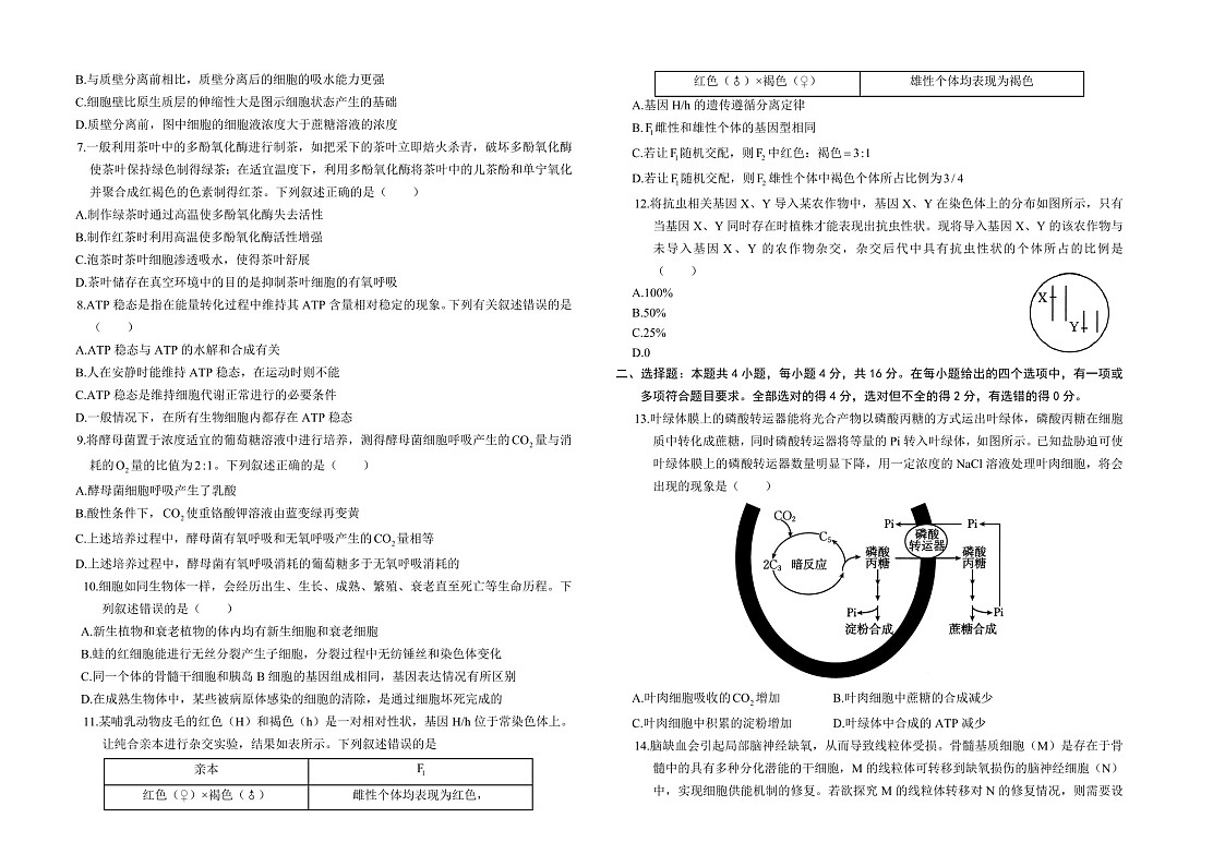2025届湖南省金太阳高三下学期10月阶段检测-生物试题（含答案）第2页