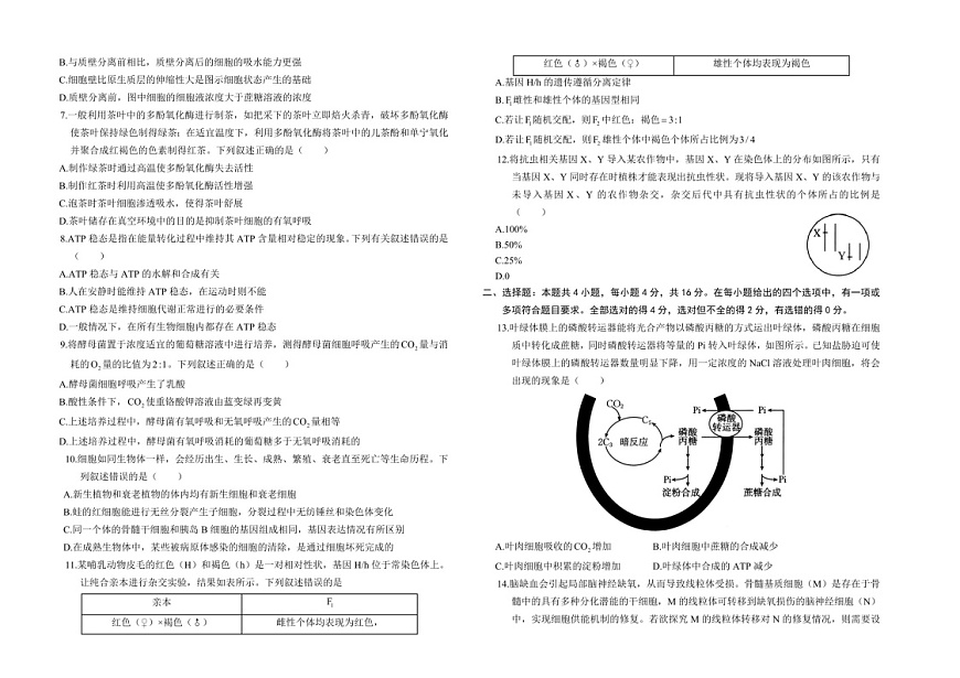 2025届湖南省金太阳高三下学期10月阶段检测-生物试题（含答案）第2页
