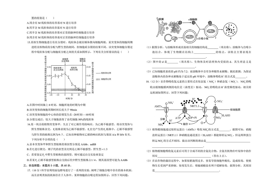 2025届湖南省金太阳高三下学期10月阶段检测-生物试题（含答案）第3页