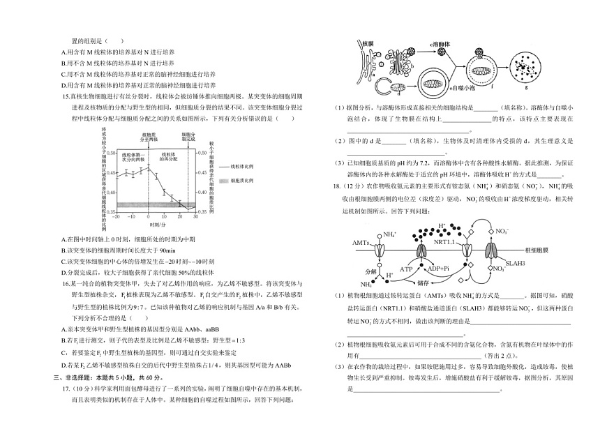 2025届湖南省金太阳高三下学期10月阶段检测-生物试题（含答案）第3页