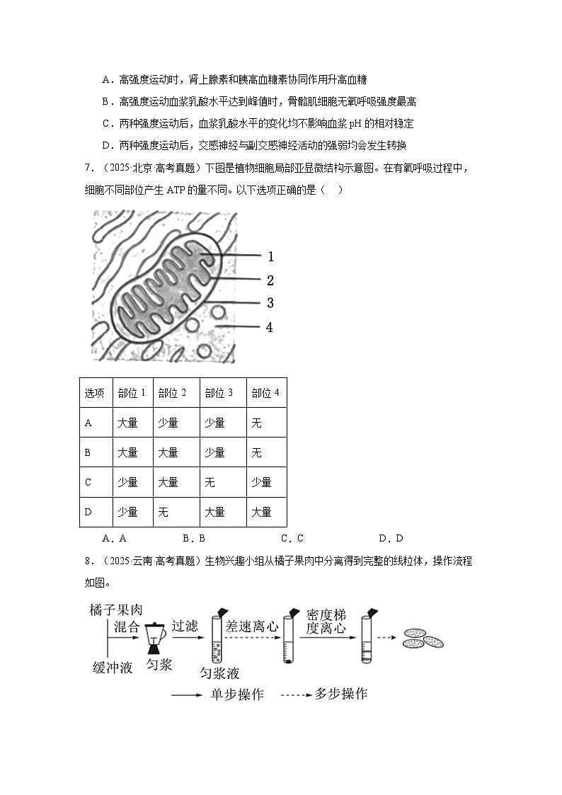 备战2026年高考生物（2025年真题分类汇编通用版）专题03细胞呼吸和光合作用（原卷版）第3页