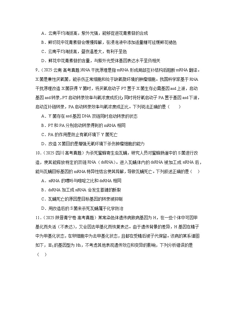 备战2026年高考生物（2025年真题分类汇编通用版）专题06遗传的分子基础（原卷版）第3页