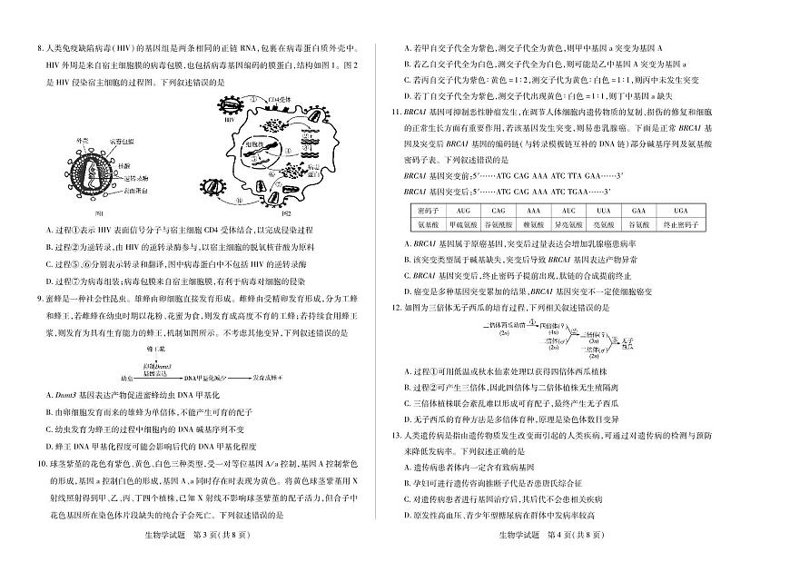 河南省天一大联考2024-2025学年高一下学期6月摸底考试生物试卷+答案第2页