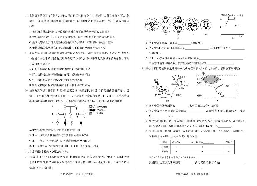 河南省天一大联考2024-2025学年高一下学期6月摸底考试生物试卷+答案第3页