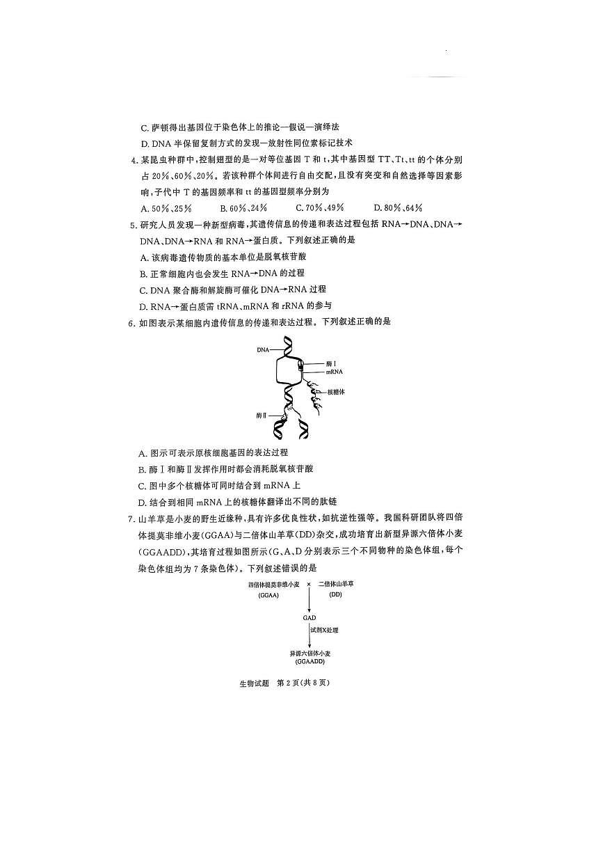 河南省青桐鸣2024-2025学年高一下学期6月联考生物试题第2页