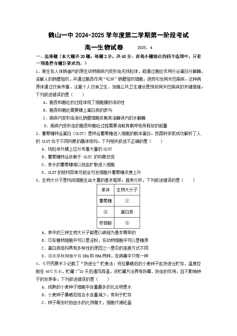 广东省鹤山市第一中学2024-2025学年高一下学期第一阶段考试（4月）生物试卷第1页