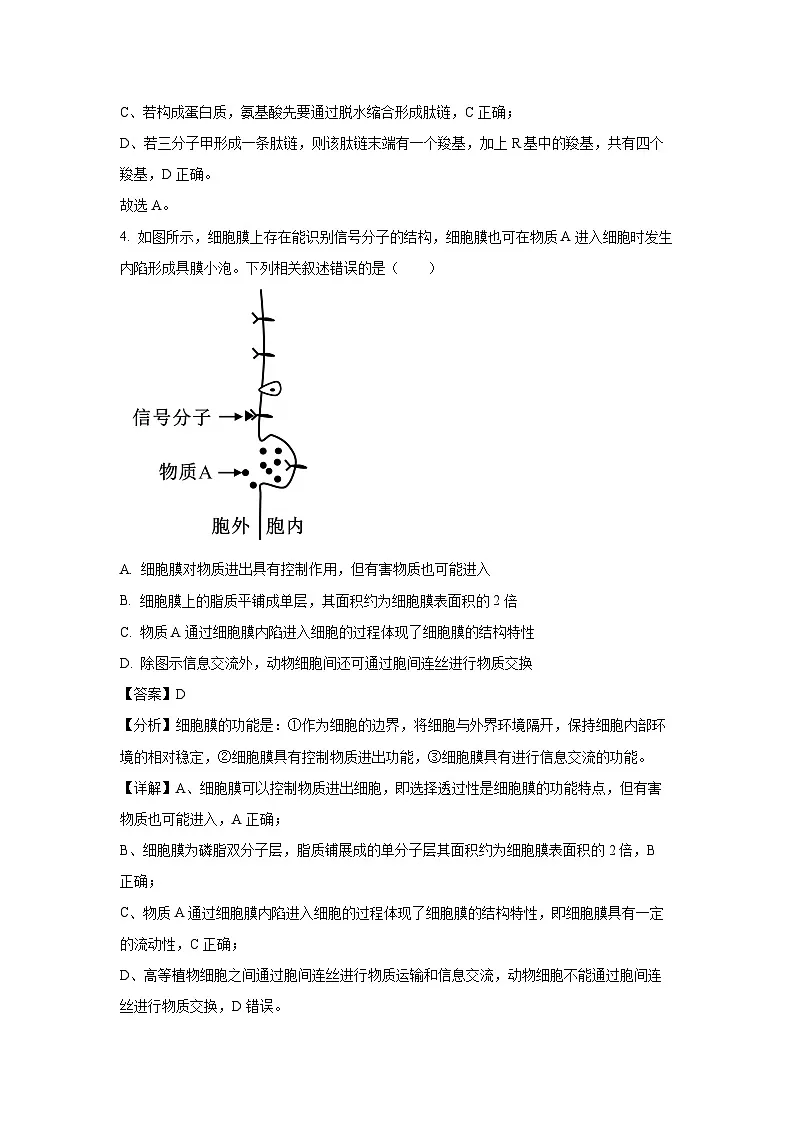 广东省广州市2024-2025学年高一上学期期末检测卷（一）生物试题（解析版）第3页