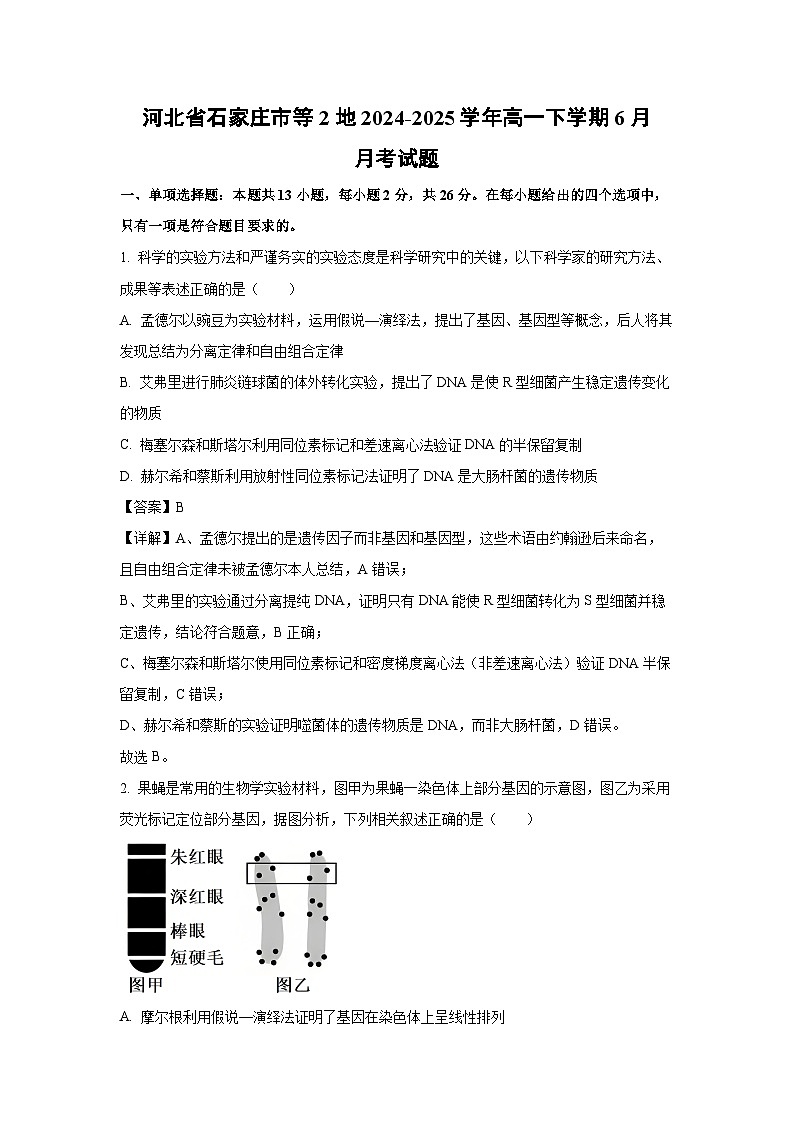 河北省石家庄市等2地2024-2025学年高一下学期6月月考生物试题（解析版）第1页