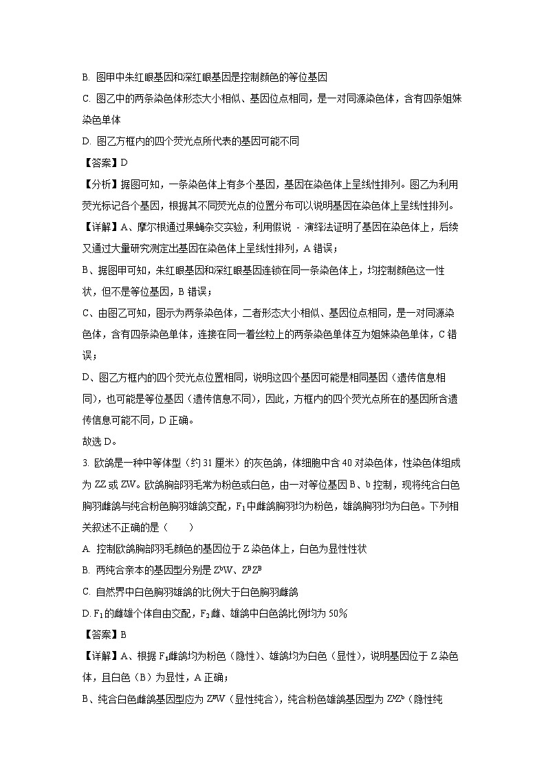 河北省石家庄市等2地2024-2025学年高一下学期6月月考生物试题（解析版）第2页