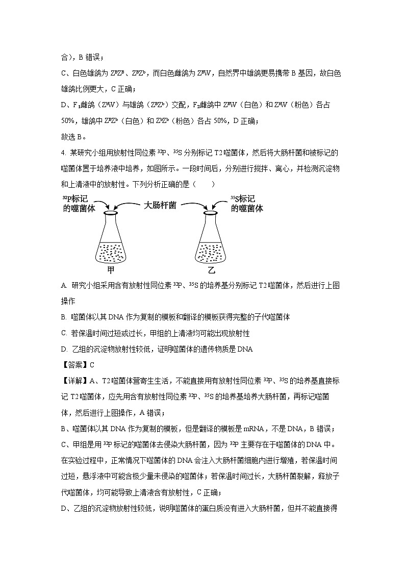 河北省石家庄市等2地2024-2025学年高一下学期6月月考生物试题（解析版）第3页
