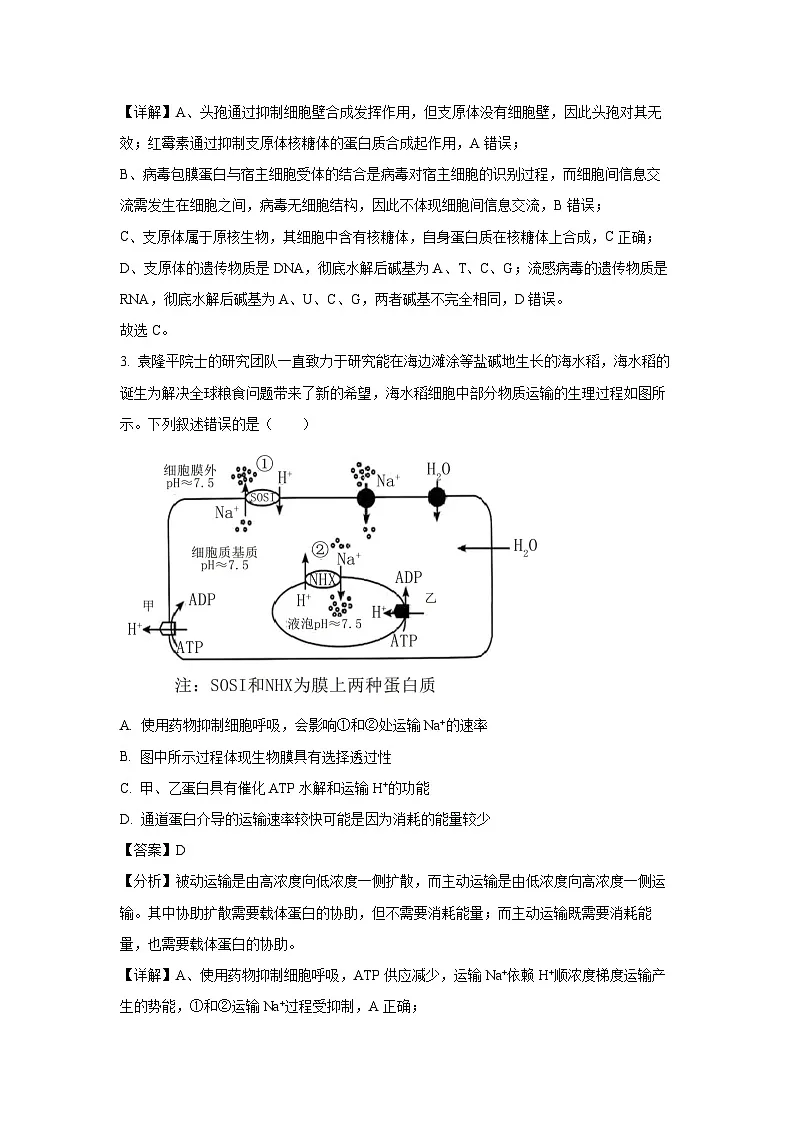湖北省荆门市2024-2025学年高一下学期6月期末生物试题（解析版）第2页