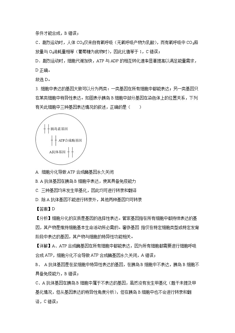 湖南省2024-2025学年高一下学期期末考试生物试题（解析版）第2页