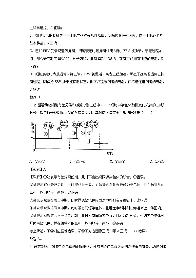 四川省雅安市2024-2025学年高一下学期期末考试 生物试题（解析版）第2页