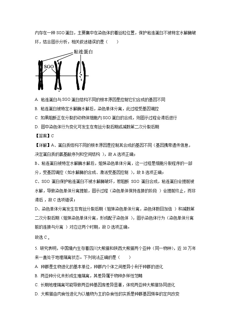 四川省雅安市2024-2025学年高一下学期期末考试 生物试题（解析版）第3页