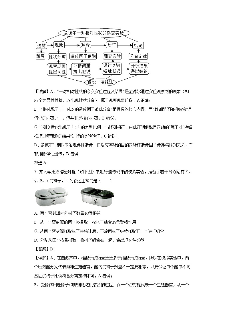 天津市五区县重点校2024-2025学年高一下学期7月期末生物试题（解析版）第2页