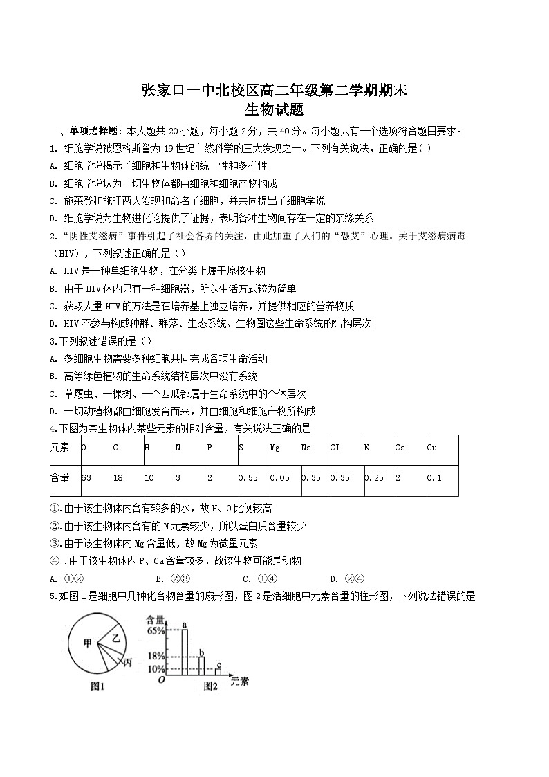 河北省张家口市第一中学2024-2025学年高二下学期期末考试生物试卷（Word版附答案）第1页