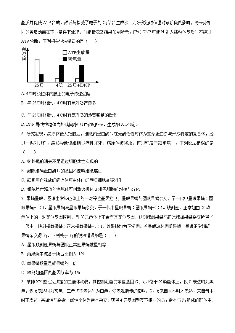 山东省实验中学2026届高三上学期8月开学考试生物试卷（Word版附答案）第2页