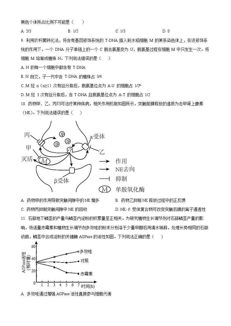 山东省实验中学2026届高三上学期8月开学考试生物试卷（Word版附答案）第3页