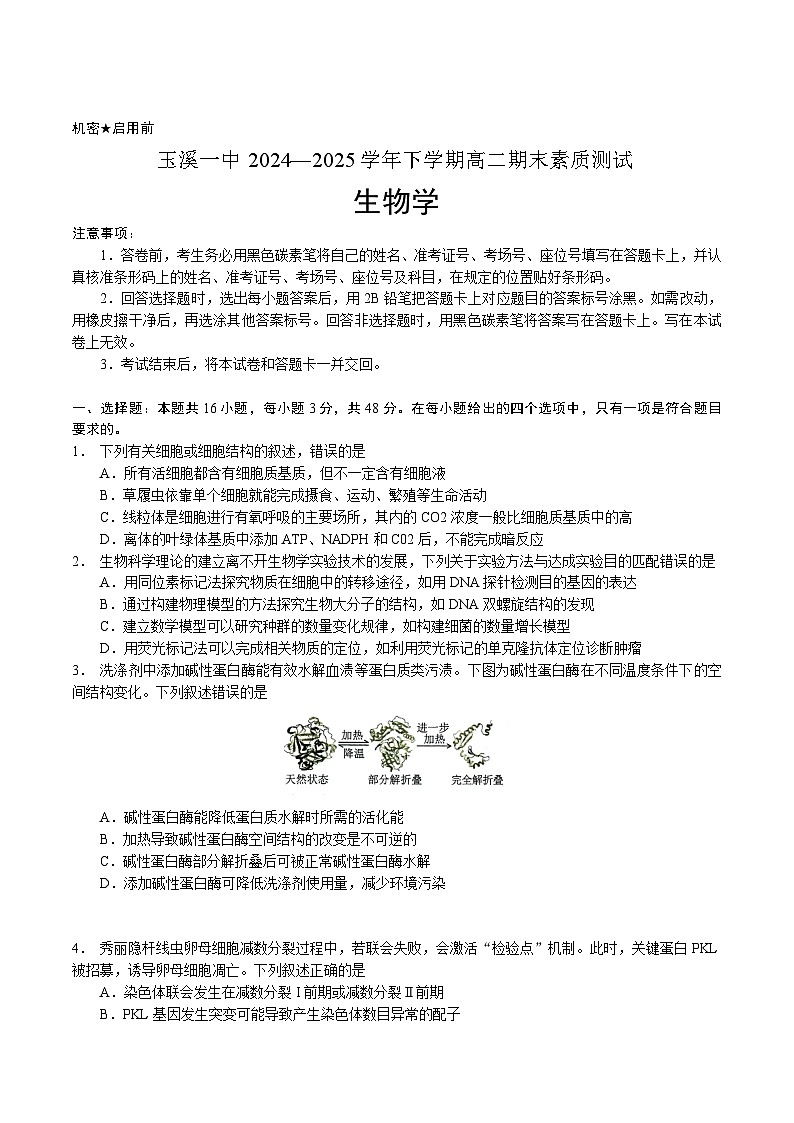 云南省玉溪第一中学2024-2025学年高二下学期7月期末考试生物试卷（Word版附答案）第1页