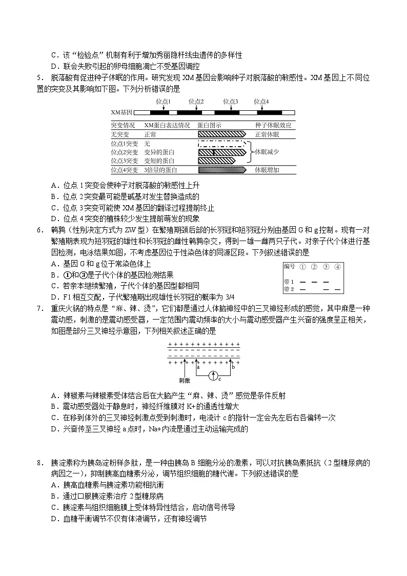云南省玉溪第一中学2024-2025学年高二下学期7月期末考试生物试卷（Word版附答案）第2页