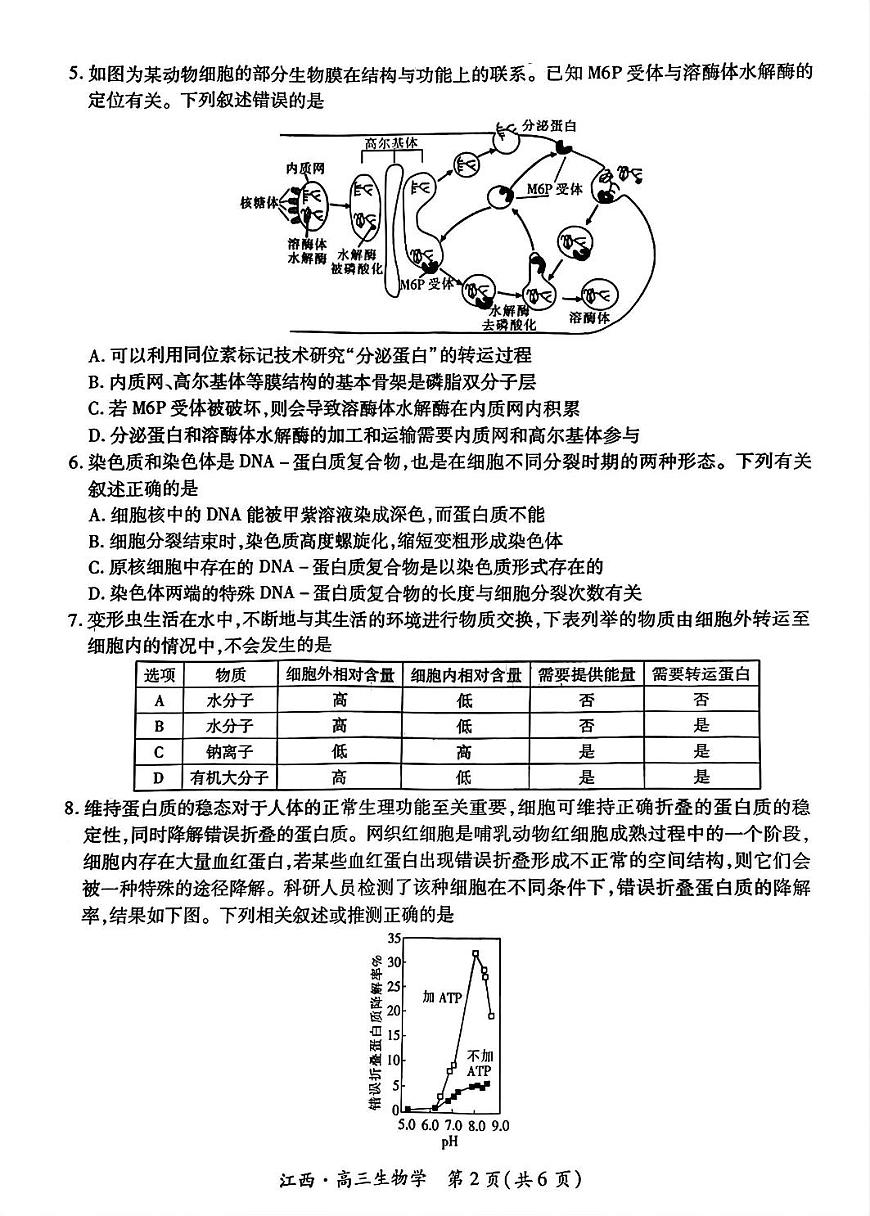 江西省稳派上进2025届高三上学期10月阶段检测考10月生物试题+答案第2页