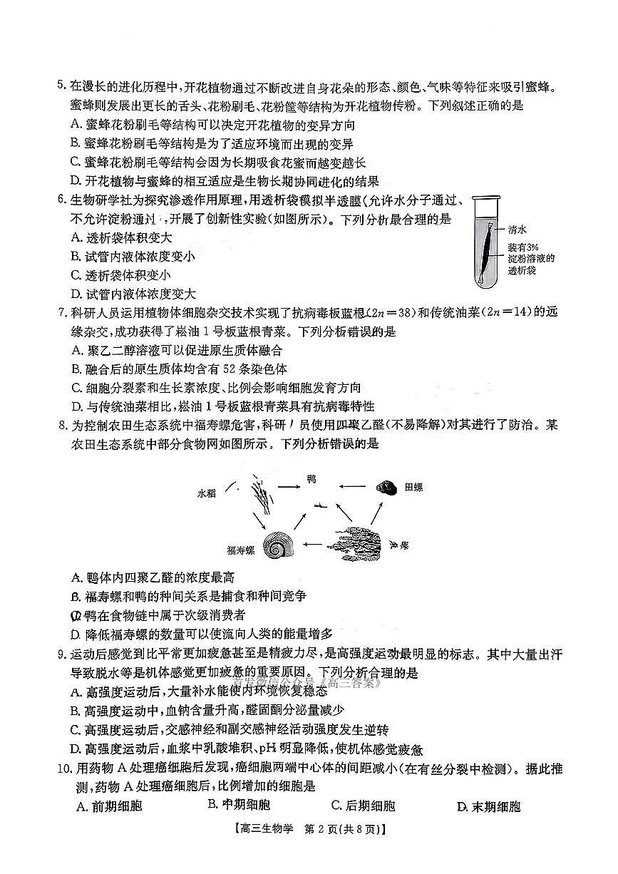 2025年广东金太阳高三上学期开学考试生物试题及答案第2页