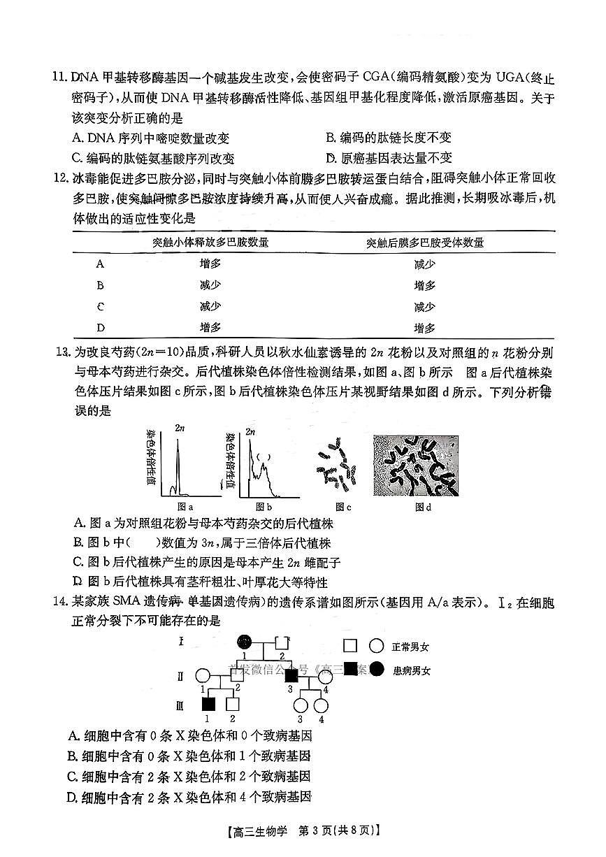 2025年广东金太阳高三上学期开学考试生物试题及答案第3页