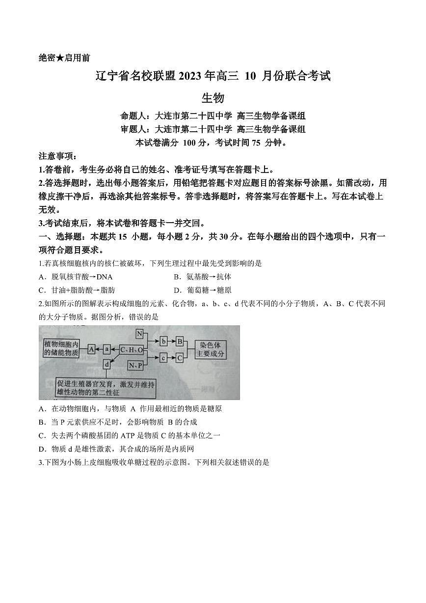 辽宁省名校联盟2024-2025学年高三上学期10月联合考试生物试卷+答案第1页