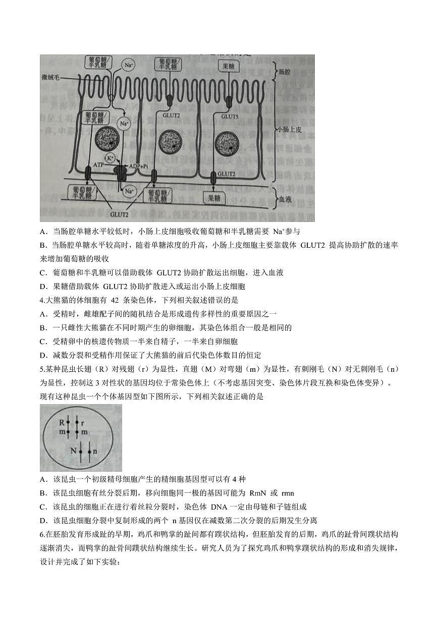 辽宁省名校联盟2024-2025学年高三上学期10月联合考试生物试卷+答案第2页