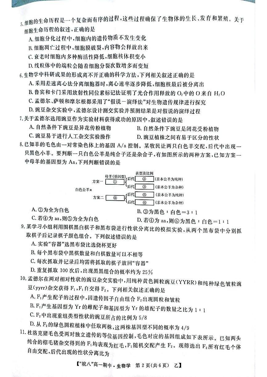 安徽省皖南八校2024-2025学年高一下学期4月期中生物（甲）试题（含答案）第2页