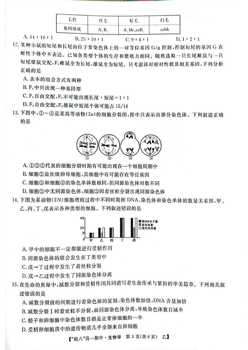安徽省皖南八校2024-2025学年高一下学期4月期中生物（甲）试题（含答案）第3页