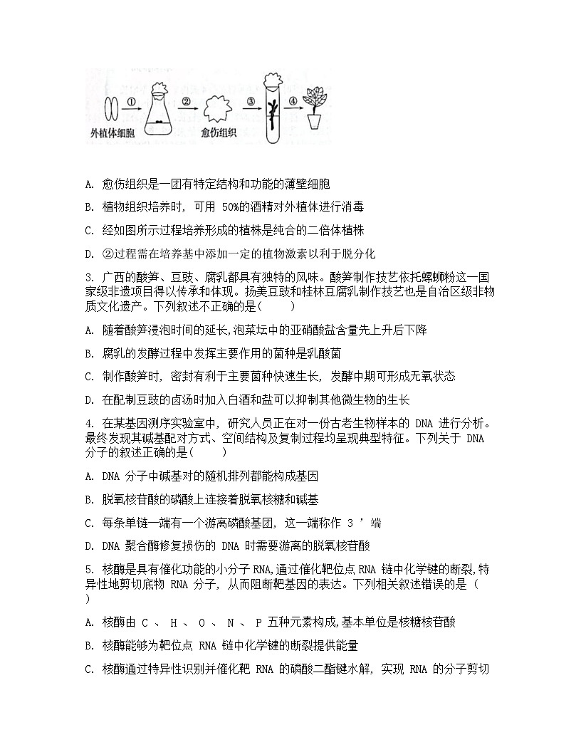 广西“贵百河”联盟2026届高三上学期8月摸底考模拟预测试题生物Word版含解析第2页