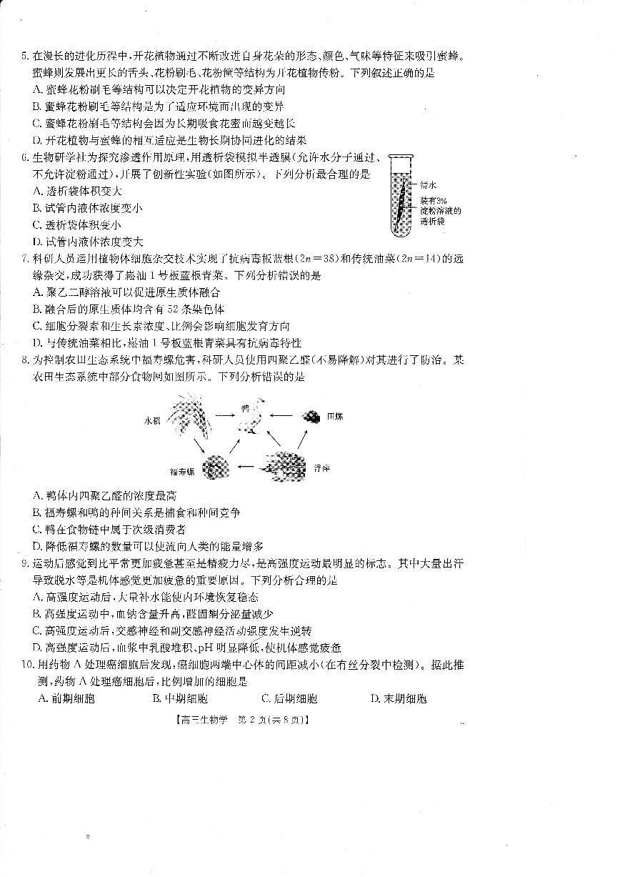 广东省金太阳2026届高三上学期8月开学联考（26-05C）-生物试题+答案第2页
