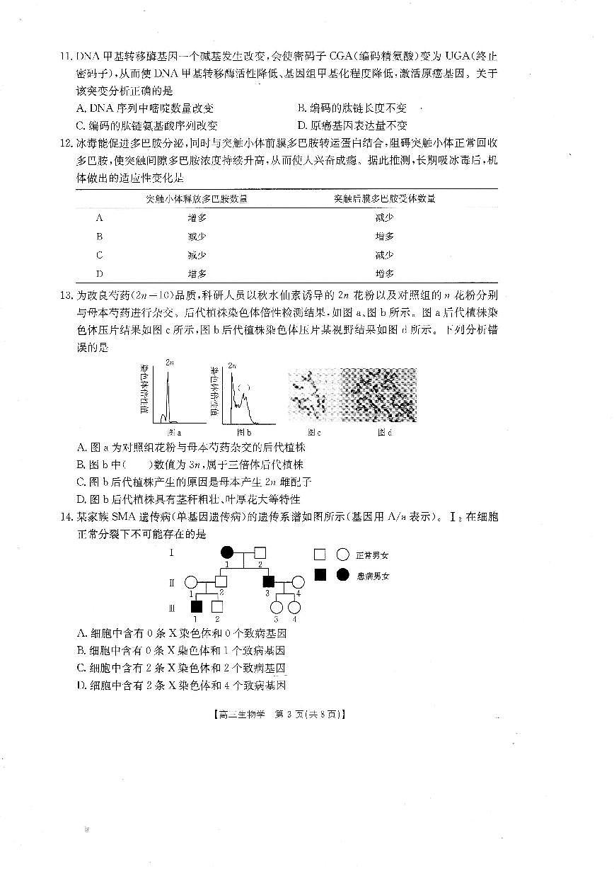 广东省金太阳2026届高三上学期8月开学联考（26-05C）-生物试题+答案第3页