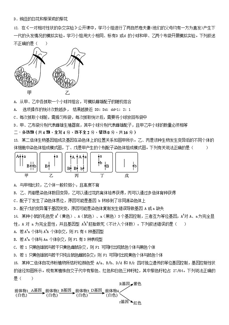 湖南省娄底市部分普通高中2024-2025学年高一下学期期末考试 生物试卷第3页