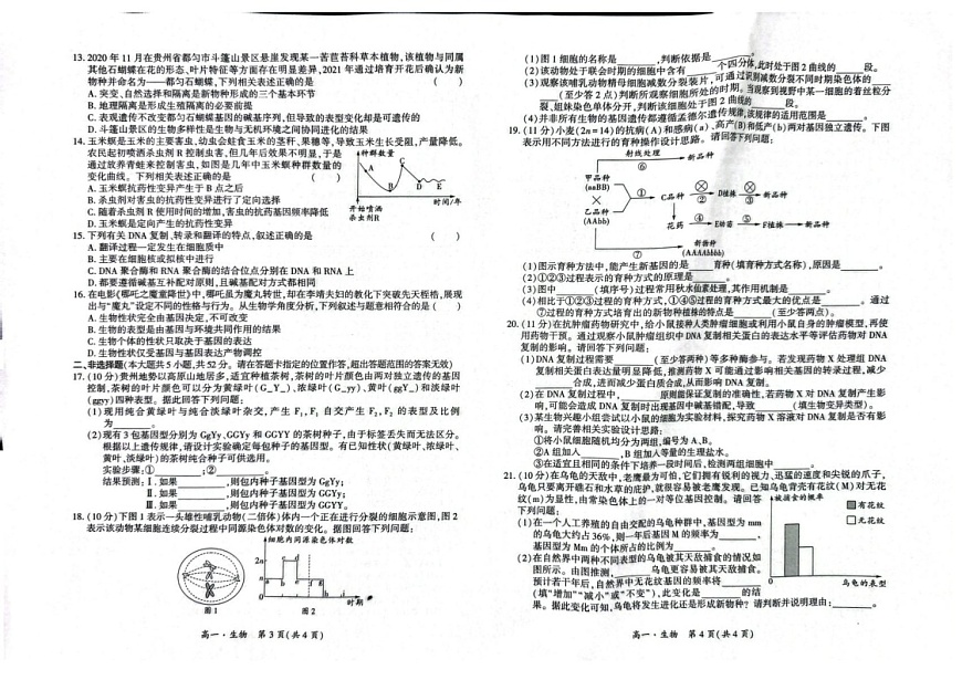 贵州省黔南州2024-2025学年高一下学期期末考试生物试卷第2页