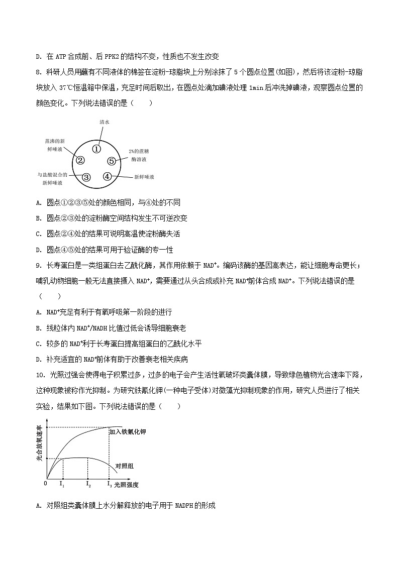 山东省烟台市2024-2025学年高二下学期期末考试生物试题（Word版附答案）第3页