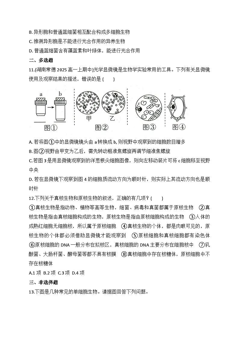 1.2 细胞的多样性和统一性-同步练习 2025—2026学年高一上学期生物人教版必修1第3页