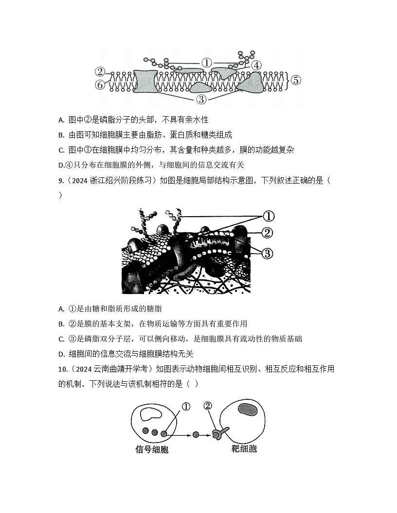3.1 细胞膜的结构和功能-同步练习 2025—2026学年高一上学期生物人教版必修1第3页