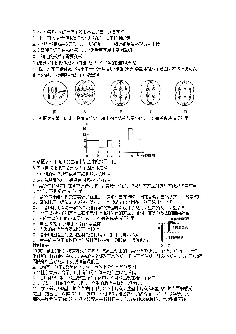 2024年春期期末高一生物参考答案第2页