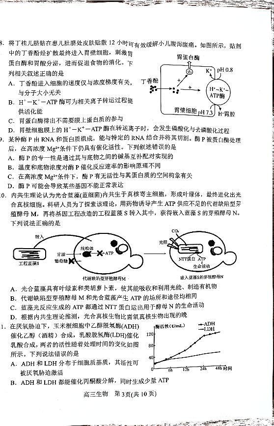 河南省南阳市2024-2025学年高三上学期期中质量评估生物试题第3页